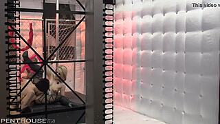 i fucked ash hollywood hard in cowgirl