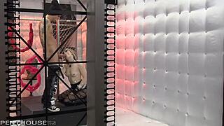 i fucked ash hollywood hard in cowgirl