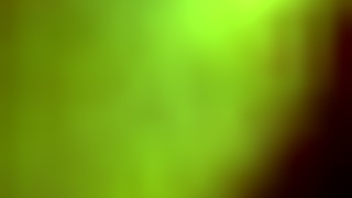 Bisexual Video From March 16, 2017 At 11:34 Pm