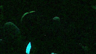 scarlett johnson, i cant get enough of this blacklight sexx