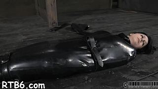 Sweet beauty is being tossed into a cage with another playgirl