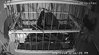 Watch The Cagecam Bondage Feed!