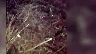 I Offered My Friends a Blowjob and Sucked Them Good!