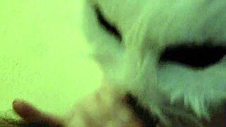 Wife performs oral until climax in mouth