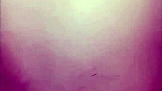 chacales mexicanos cojiendo a pelo 26 cm