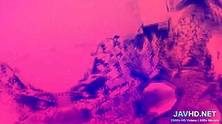 Ever Fucked a Japanese Chick in Tight Stockings?