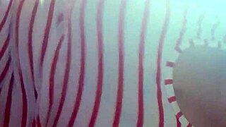 Latina masturbates to Christmas music!