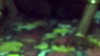 Indian bhabhi gets lifted and fucked while sleeping.