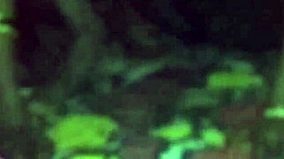 Indian bhabhi gets lifted and fucked while sleeping.