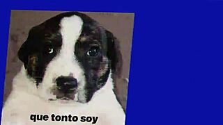 i discovered my mother is a succubus in this hentai review