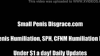 your tiny dick makes you barely a man in this femdom session