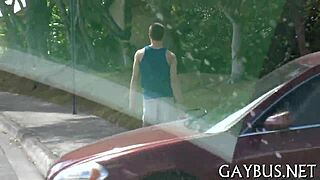 fellows engage in homosexual sex story