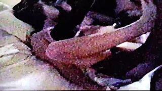 watch this whore in a black cock gangbang