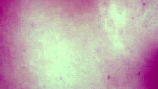 dedilhando minha boceta molhada na cama 😍