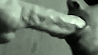 my big mouth swallows the 25cm toy lionel hearts