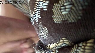 Carrie b, want to see foot play before anal pov?