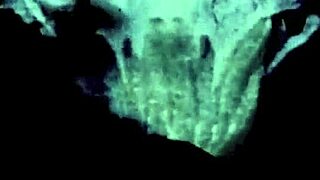 victorian gentleman confesses erotic sins