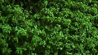 Does this latina's bush turn you on?