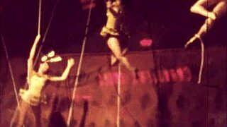 vintage erotic cartoon art featuring antique styles and detailed illustrations