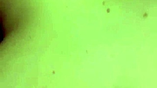 She Begged Me To Bang Her!