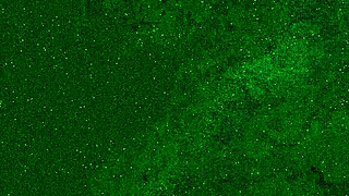 Pee Soaked Jeans and Golden Shower All Over Me.