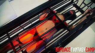 Mai bailey and krystal webb in fetish scene.