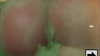 Let's play shroomlandia in a fun adventure