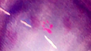 i'm a horny desi gay guy looking for some fun